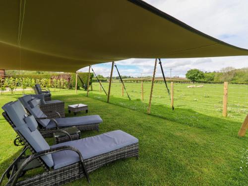 外部景觀, Moel Y Parc in 登比