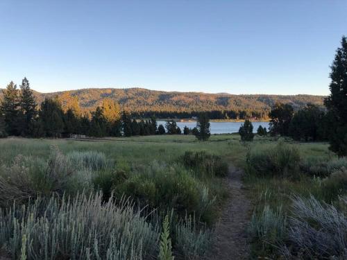 Private hot tub deck pets WiFi The Little Red Box in Big Bear City, USA
