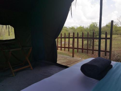 Basecamp - Yala