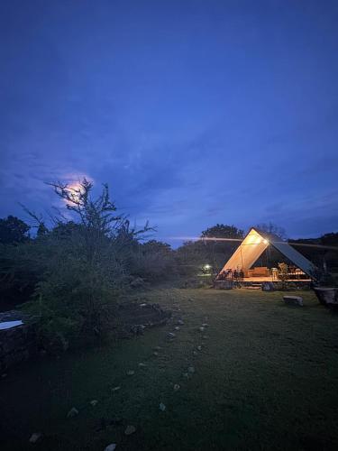 Basecamp - Yala