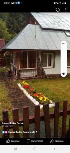 A szálláshely kívülről, Cabana Larisa in Cavnic