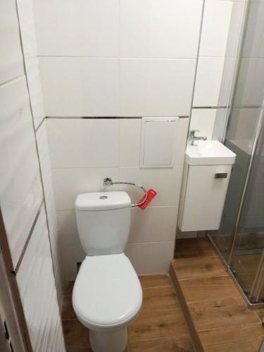 Single private room in a 5 room shared apartment, Vratislav (fotografie 9)