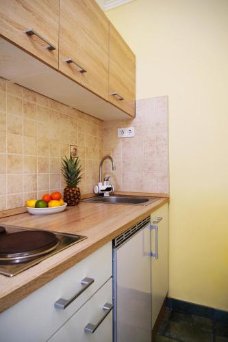 Dapur, Casa Libre in Balatonalmadi