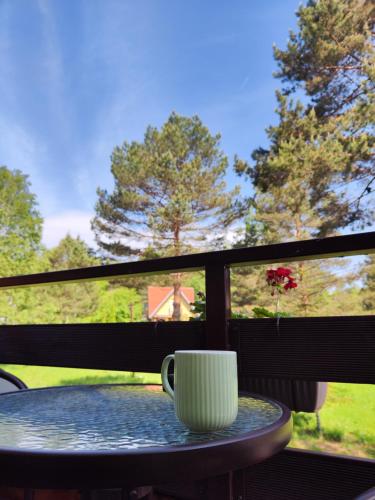 Vila Priroda Divčibare