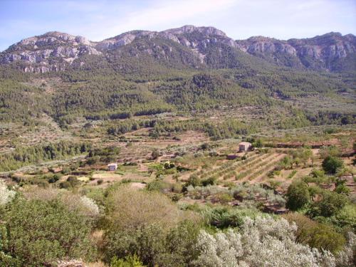  Ca les Barberes in Paúls