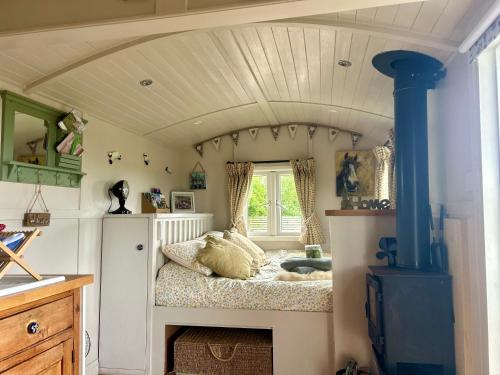Willowbank shepherds hut in Taunton