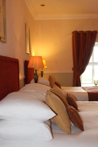 Aran View Country House - image 10