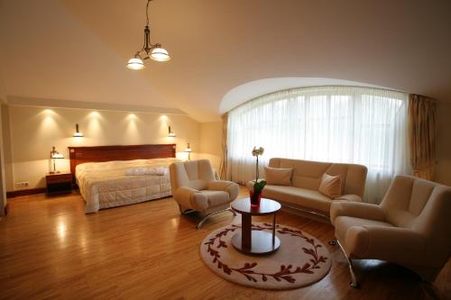 Hotel Violeta, Druskininkai (foto 9)