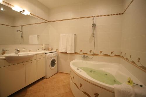 Hotel Violeta, Druskininkai (foto 11)