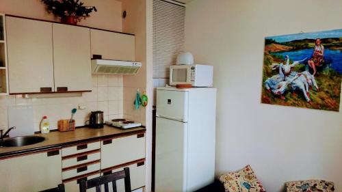 Apartmany u Lipno in Фримбурк