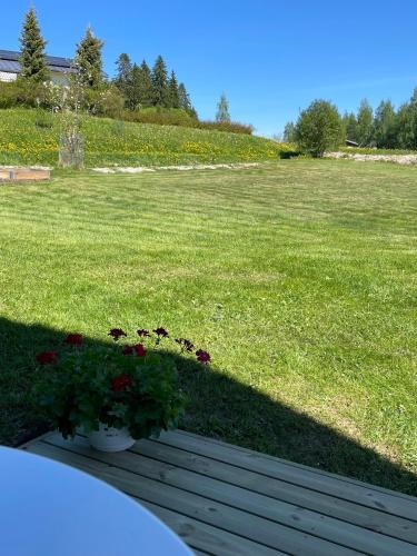 Vistas, Puuppola Kotikoivu in Jyvaskyla