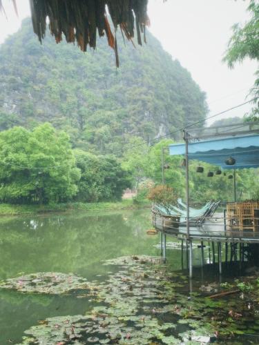 HoangLong Riverside Homestay