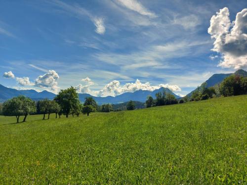 景觀, Chalet Troadkasten Biohof Kreilgut in 福德爾施托德爾