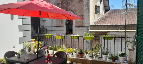 B&B Stella Scugnizza 4