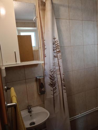 Apartment Balkan - image 11