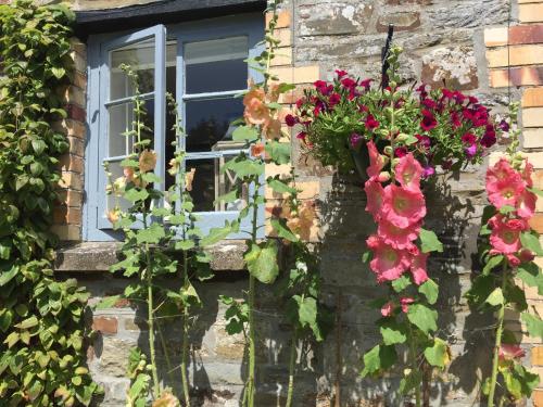 The Old Stable, , Devon