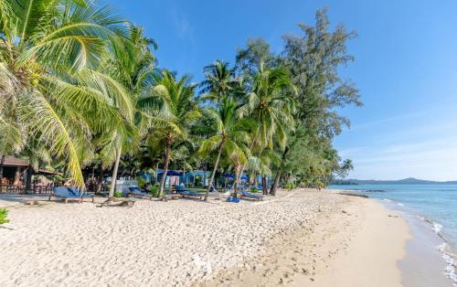 Seafar Resort Room Type - Bungalow with Sea View