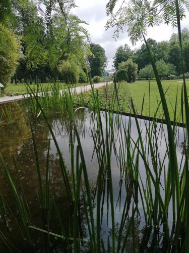 Ferienwohnung Schuhmann mit Wintergarten und Garten Therme Aquapulco und IKUNA Erlebnispark, ZOO Schmiding 20 min mit Auto entfernt AB 3 NÄCHTE BUCHBAR