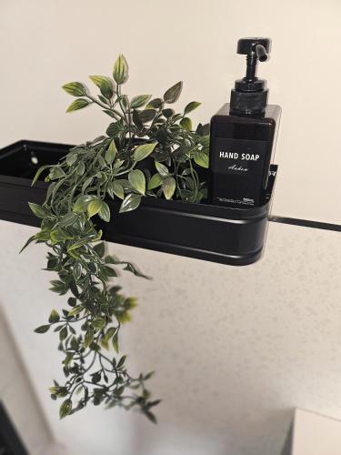 ห้องน้ำ, Tatlers Guest House in รอสส์คอมมัน