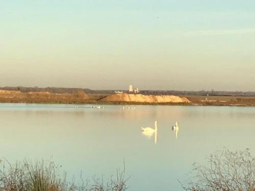 GITE SAINT LOUVENT 6 p DANS UN VILLAGE AUTHENTIQUE in Revigny-sur-Ornain