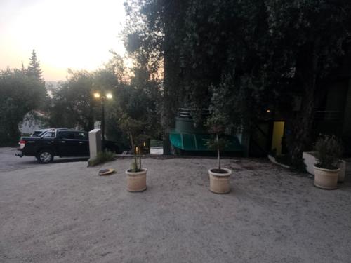 Langust - free parking, Sveti Stefan (photo 10)