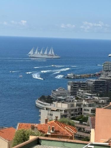 Monte-Carlo confortable apartment air-conditioned, beach 8 mn by foot