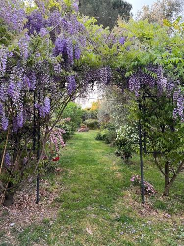 La Casa Dei Fiori