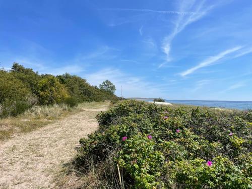 沙灘, Ängahuset (Angahuset) in 斯科訥