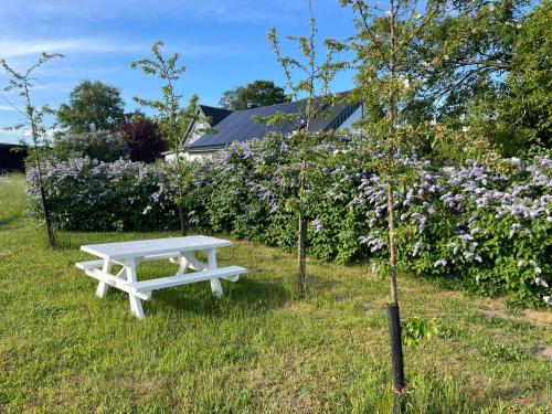 花園, Ängahuset (Angahuset) in 斯科訥