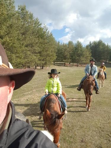 Dona Guest House - Horse Riding - image 2