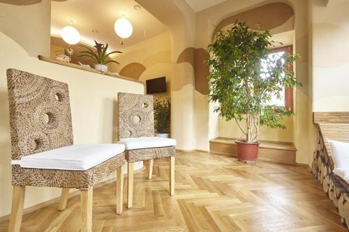 Wellness Apartment De Luxe - image 9
