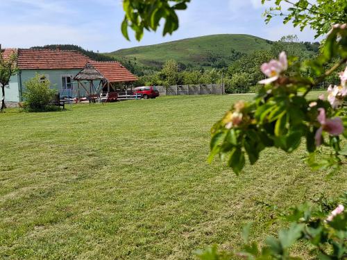 Apartmani Feliks in Resavica
