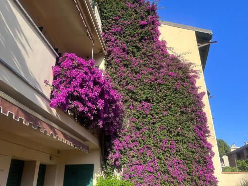 Seaside, Bordighera (foto 2)
