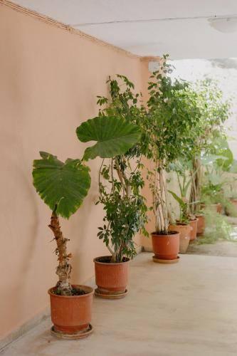 Catherine's View Catherine's View