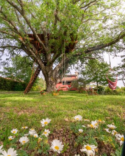 La Casa Rossa nell’Oasi verde gîte à louer Rota