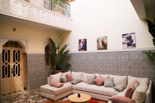 Riad Fridi - Tap to explore photos