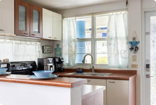 Breezy Nights Puerto Rico in Loiza