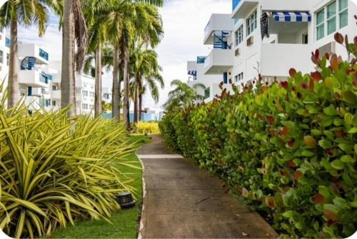 Breezy Nights Puerto Rico in Loiza