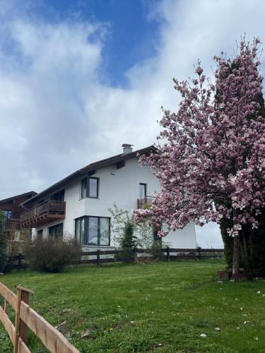 外部景觀, Appartment im Architektenhaus - 53qm-2 Schlafzimmer-Küche-Bad -2min von A8 - ruhig (Architect-Apartments 53qm - 2 Schlafzimmer mit integrierter Kuche und Bad, nur 2min von A8 - ruhig u) in 申貝格