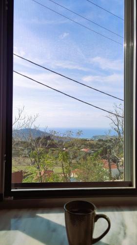 A környék, The Old Barn House in Tavari