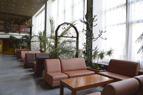 ล็อบบี้, Hotel Samokov in โบโรเวต