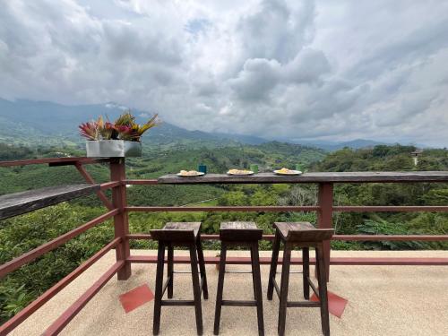 Skats, Finca Hotel San Miguel in Calarca