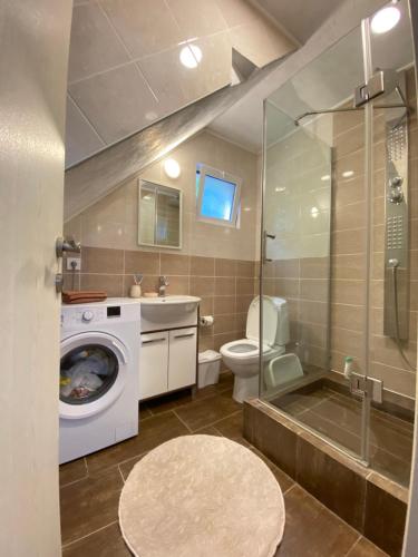 Two-Bedroom Apartment image 9