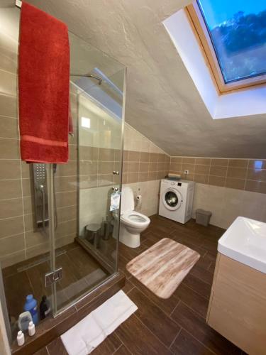 One-Bedroom Apartment image 7