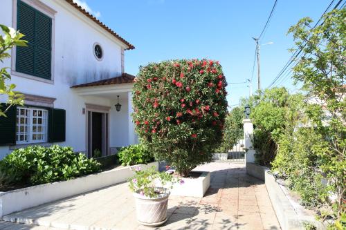 สวน, Casa vista Arrabida in โกโตเบีย