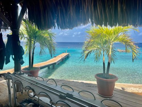 Cerca de lugares turísticos, Marazul Dive Resort-Panoramic Ocean View Town Home in Westpunt