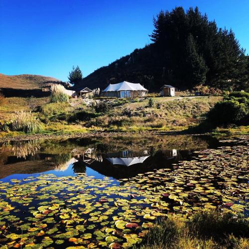 View, Orchard Valley Glamping in Otorohanga