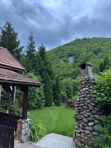 Cottage by the river Valea Draganului