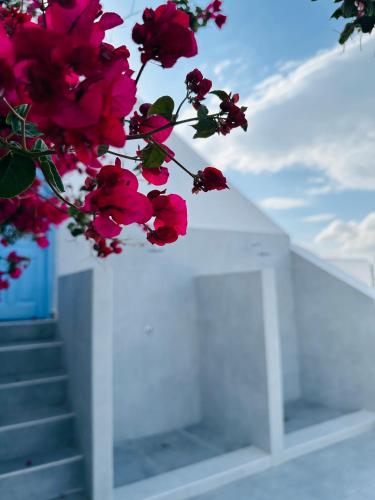 Hotel Petradi - image 5