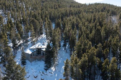 4WD Cabin in the Clouds with Hot Tub cabin in Nederland, USA